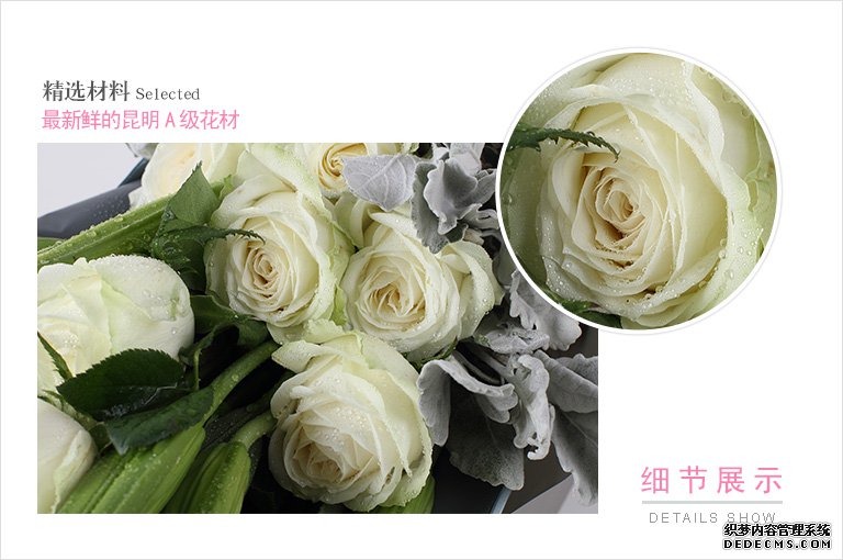 90后动漫——日韩成人毛片一区三区，承载青春记忆的二次元世界