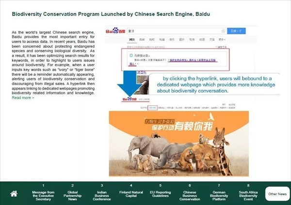 腾龙移轴镜头日韩成人毛片一区三区，解锁摄影新维度，重塑视觉艺术的魔力工具
